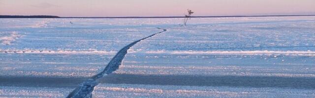 Профессор ТТУ: ледяной покров на Балтийском море начал быстро уменьшаться