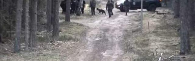 На границе с Беларусью пограничники развернули 35 нелегальных мигрантов — рекорд за год