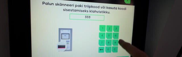 "Зеркало": заросшая дорога к нарвским дачам, пропавшая посылка