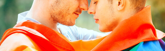 Призрак гомосексуального брака бродит по Рийгикогу