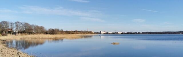 Мэр Таллинна объяснил, почему власти не отменили заплыв в озере Харку