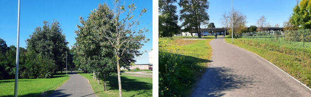 Дорожки новые, проблемы старые