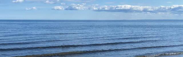 Эстония и Финляндия расследуют причины повреждения подводного кабеля Elisa