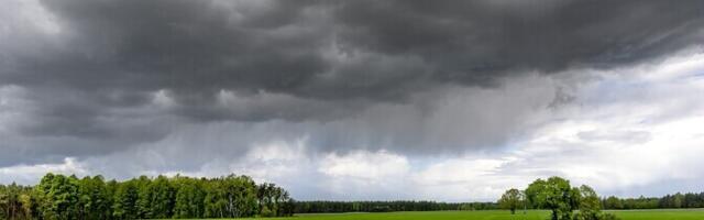 В среду в Эстонии ожидаются дожди, местами сильные с грозами, +13..+19