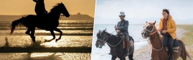 Конный туризм — топ маршрутов в России и за рубежом