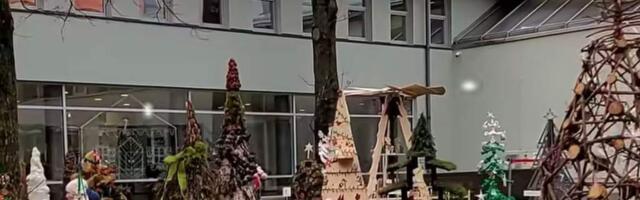 Ёлочки в клайпедской библиотеке