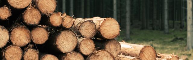 Экспорт товаров эстонского производства в июне сократился