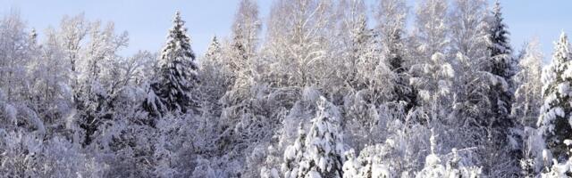 В понедельник больше снега выпадет в Курземе и Земгале