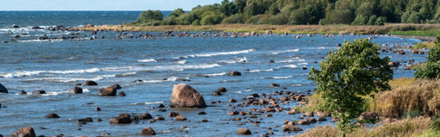 На пляже Мяндьяла на Сааремаа утонул мужчина