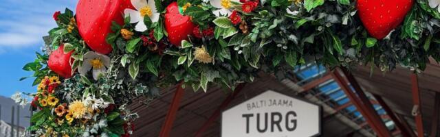 Balti Jaama Turg отмечает день рождения — на рынке устроят большой городской праздник и шоу собак