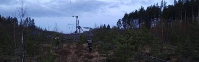 В Ленинградской области подорвана опора ЛЭП