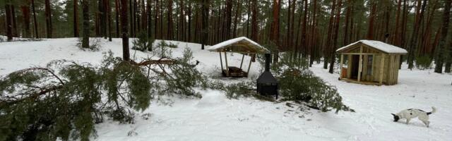 Обрушившаяся на Нарва-Йыэсуу снежная буря угрожала приюту туристов. Но все обошлось малым