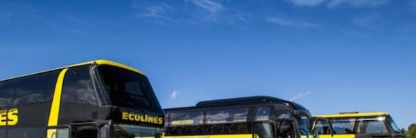 Маршрутная сеть общественного транспорта в 2026 году может сократиться на 15-37%