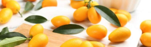 Кумкват: что это за фрукт, польза и вред, как выбрать, как едят