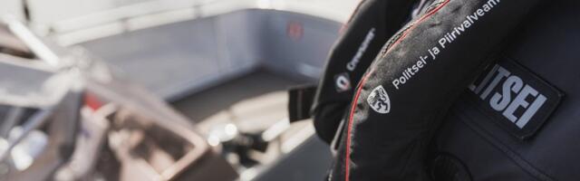 Эстонские власти задержали контейнеровоз по подозрению в контрабанде