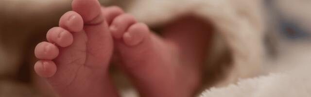 В Ляэнемаа собака принесла тело новорожденного без признаков жизни, мать ребёнка в розыске