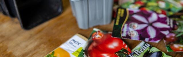 Эстонская таможня вновь и вновь обнаруживает запрещенные растения и семена