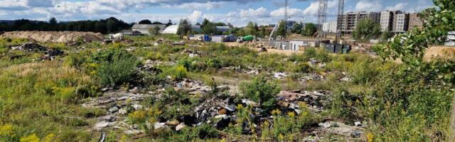 В Вильнюсе появятся «Новые Пашилайчяй»