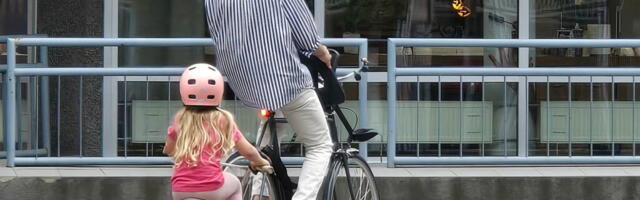 Вячеслав Иванов: Домики для велосипедиков «от Ле Корбюзье»