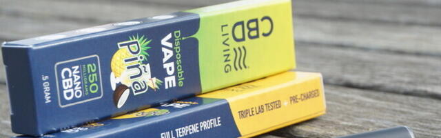 Минклимата поддерживает запрет на одноразовые электронные сигареты, но с огоровкой