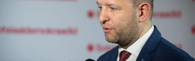 Ляэнеметс: банк развития помогал бы эстонским предпринимателям с поручительствами