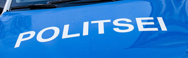 В Нарве девушку ударили четверо неизвестных мужчин