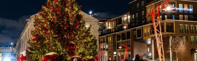 22 000 мерцающих огней: в Ноблесснере открывается рождественская страна с роскошной елкой