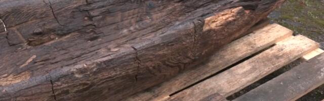 В Вырумаа обнаружили фрагмент деревянной лодки возрастом более 2000 лет