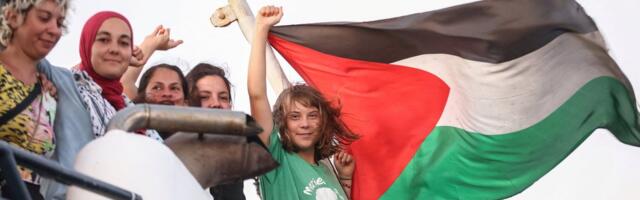 Правда ли, что израильские власти оштрафовали Грету Тунберг за загрязнение окружающей среды?