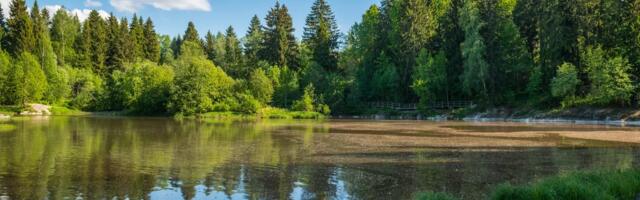 Финляндия ищет пары, готовые бесплатно провести неделю в стиле «самой счастливой страны мира»