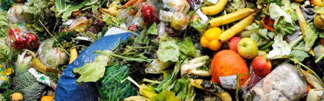 В Эстонии ежегодно выбрасываются продукты питания на 164 миллиона евро