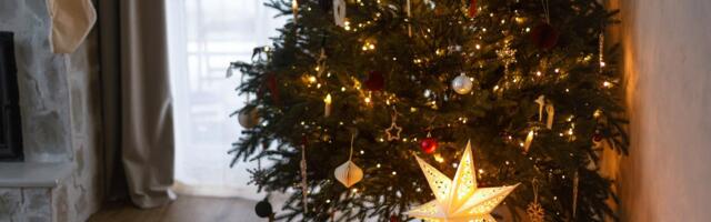Когда на самом деле надо убирать елку: даты, приметы и важные нюансы