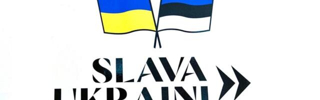Ингерман: Благотворительность по-эстонски — как 450 000 евро «испарились» вместе с принципами