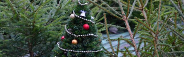 54% жителей перед новогодними праздниками испытывают тревогу