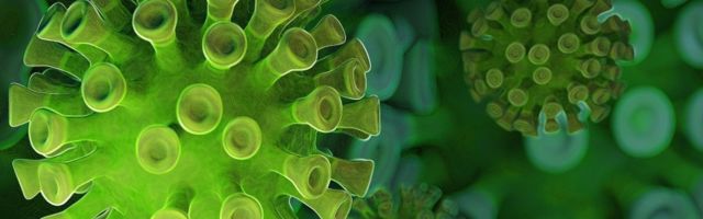 Зараженный коронавирусом человек гулял по Нарве