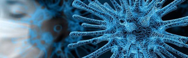 ВОЗ сделала заявление относительно происхождения коронавируса