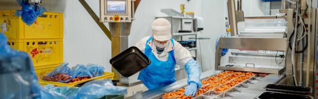 Голландцы, недавно купившие мясокомбинат у Леэдо, снова выставили его на продажу