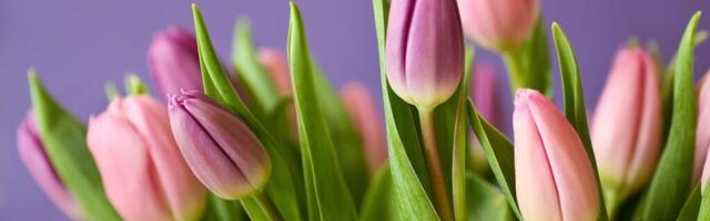 Ласнамяэ приглашает отметить Международный женский день торжественным концертом