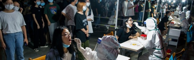Китай проверит десятки тысяч образцов крови из Уханя в рамках расследования происхождения COVID-19