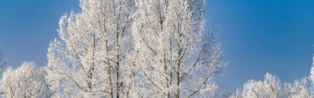 Утро вторника в Латвии — самое холодное за последние два года