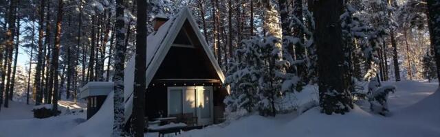 11 уютных домов посреди эстонских лесов, чтобы отметить Рождество