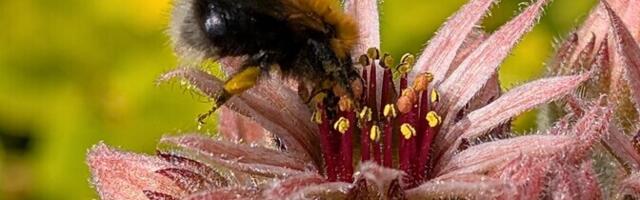 В среду местами пройдут дожди, +18..+22