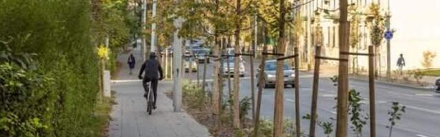 Все на субботник!