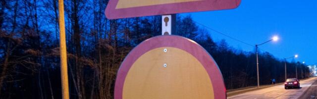 Будьте осторожны! В Эстонии началась миграция лягушек 