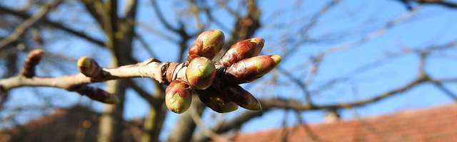 Прогноз погоды на четверг, 23 апреля