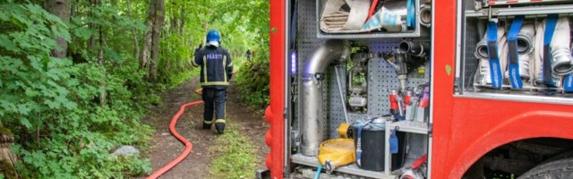 Спасательный департамент объявил об установлении пожароопасного периода