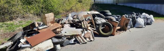 Ласнамяэ благодарит участников весенних толок