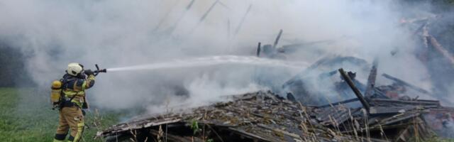 Сводка происшествий: огонь, дым и неожиданный гость в виде змеи