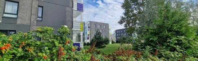 Молодые люди мечтают уехать из Эстонии: хочется жить, а не выживать