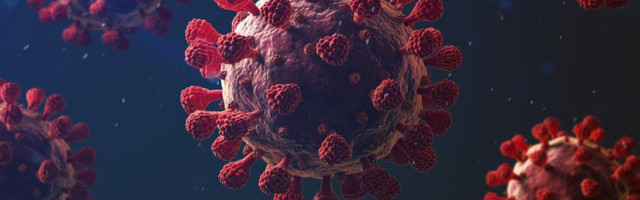 СР: В Эстонии добавилось 185 новых случаев коронавируса